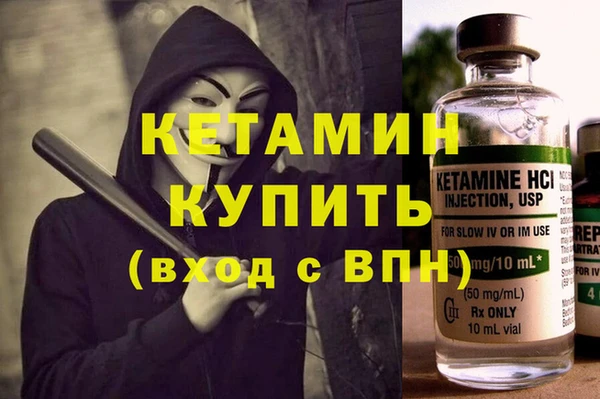 крисы Дубна